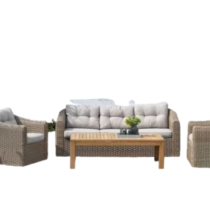 sofa nhua may phong khach 33029